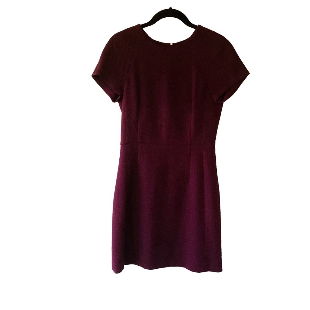 Banana Republic Textured Cap Sleeve Mini Dress 4 Purple Cotton Blend